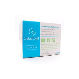 Galactogil Lactation Poudre 24 Sachets